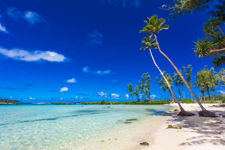 Vanuatu DSP Citizenship Program Amendments 2019