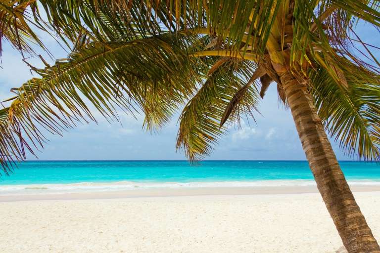 How many millionaires are there in the Caribbean?