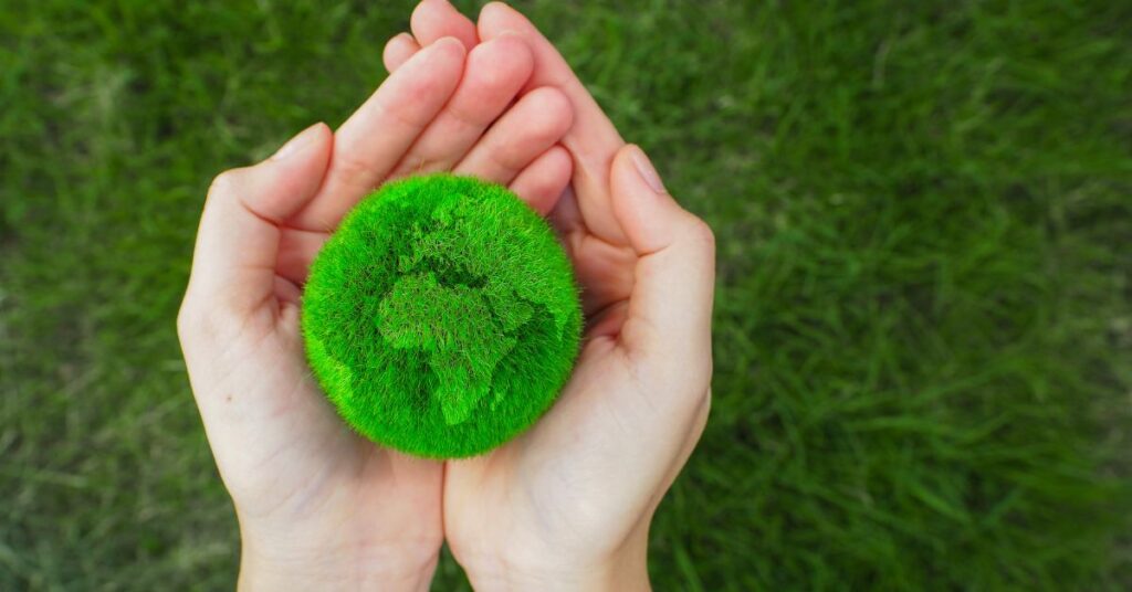 Sustainable Citizenship