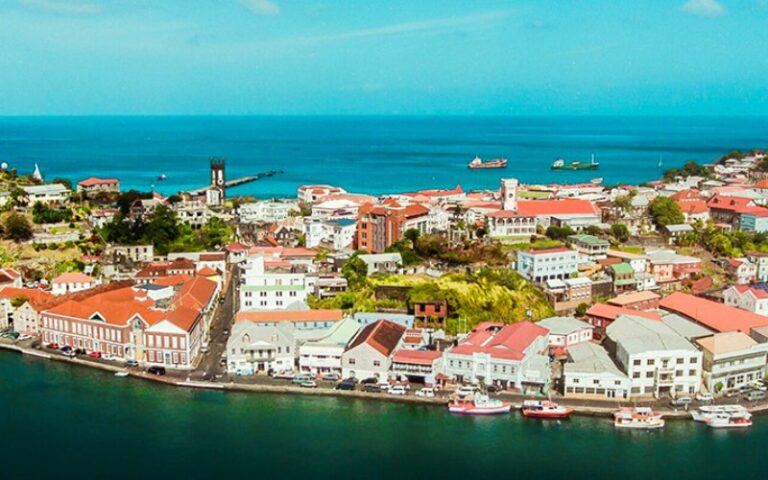 Grenada Records Surge in NTF Applications